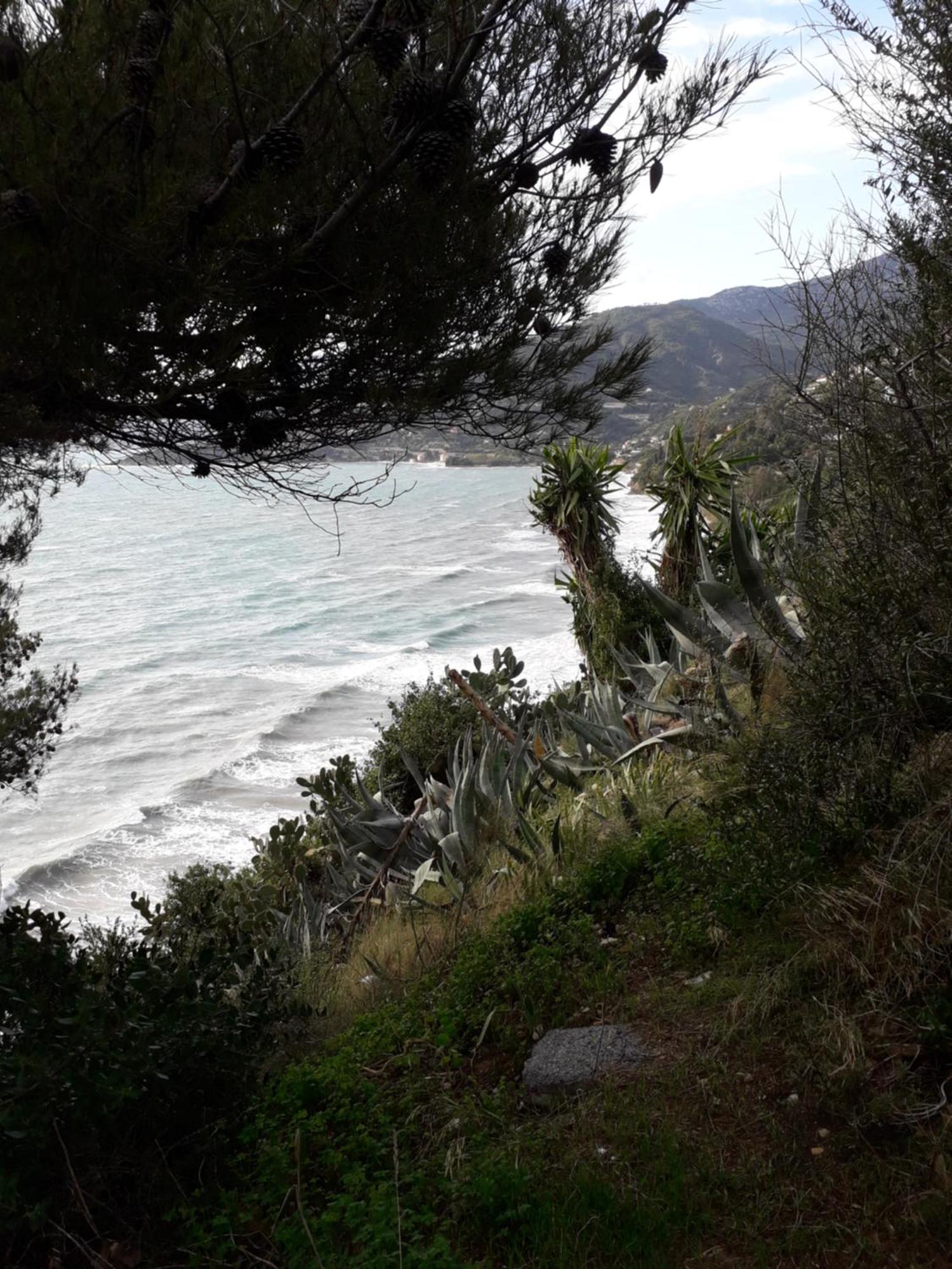 Carso 10 Διαμέρισμα Βεντιμίλια Δωμάτιο φωτογραφία